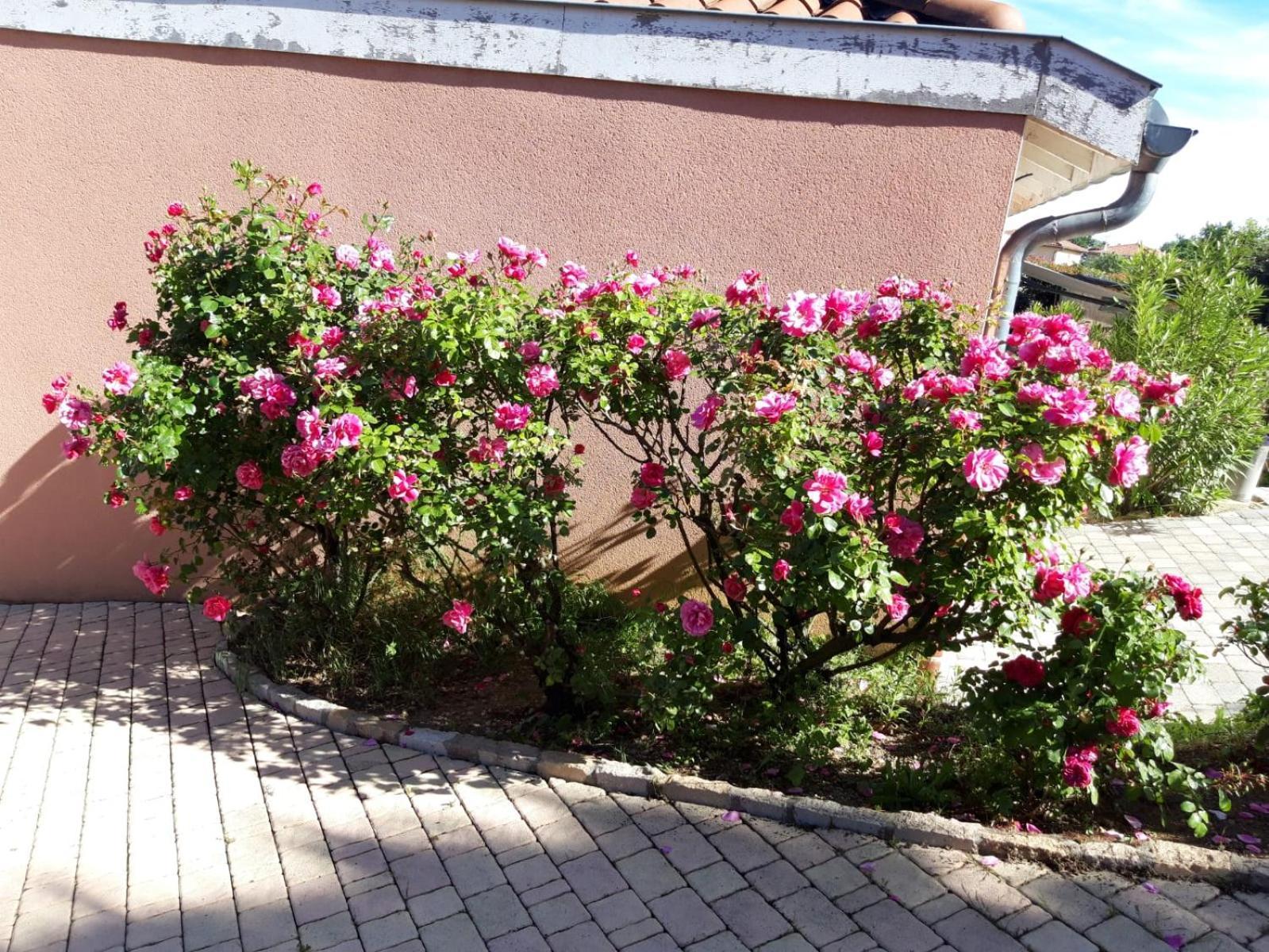 VernaisonComme Dans Un Ecrin - T2 De 50 M² Avec Jardin, Terrasse Et Piscine公寓 外观 照片